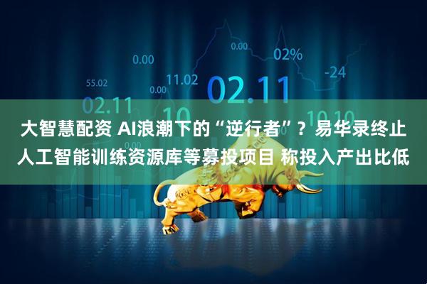 大智慧配资 AI浪潮下的“逆行者”？易华录终止人工智能训练资源库等募投项目 称投入产出比低